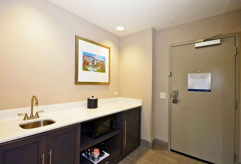 호텔 Hampton Inn Pulaski