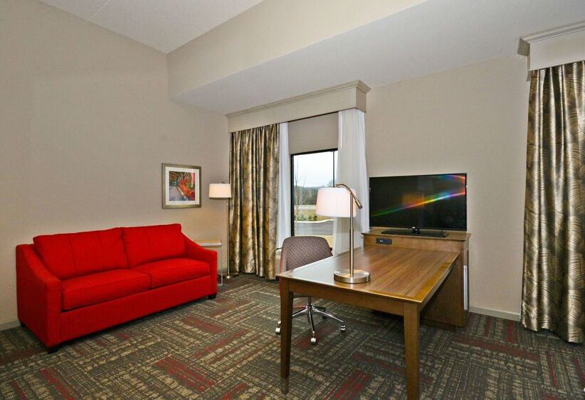호텔 Hampton Inn Pulaski