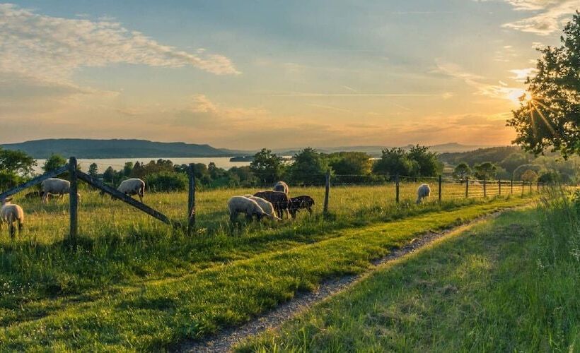 Отель Landgasthof Linde