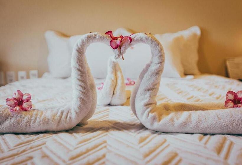 فندق Pousada Boa Vista