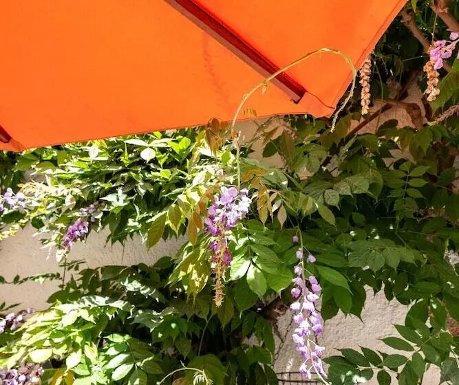 Sa Voga Hotel & Spa