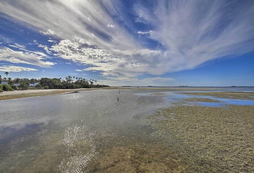 Beachy Palm Harbor Escape: Swim Spa Pool & Gazebo