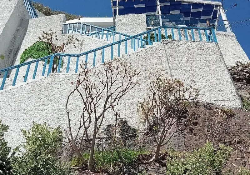 ホテル Mediterrâneo Madeira