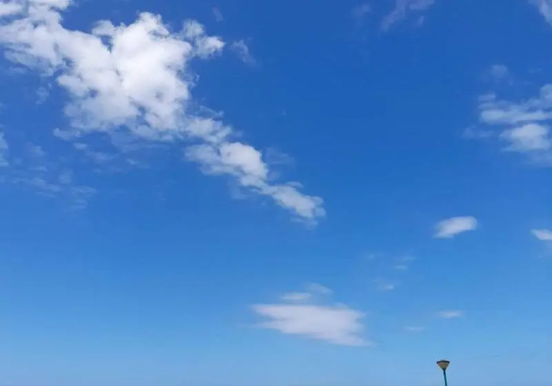 ホテル Mediterrâneo Madeira