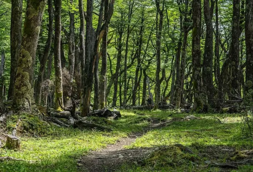 ホテル Refugio De Glaciares