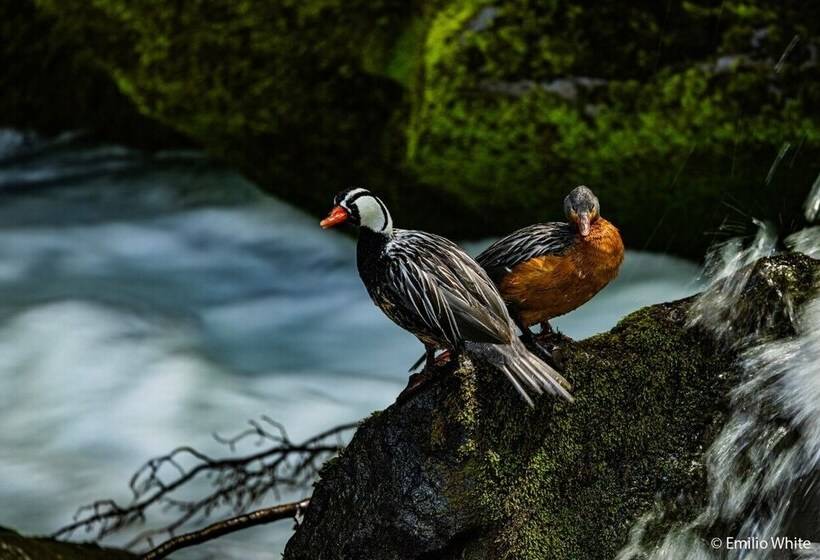هتل Refugio De Glaciares