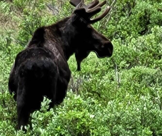 Nomad Haus W/ Mtn Views & Deck 25 Mi To Breck!