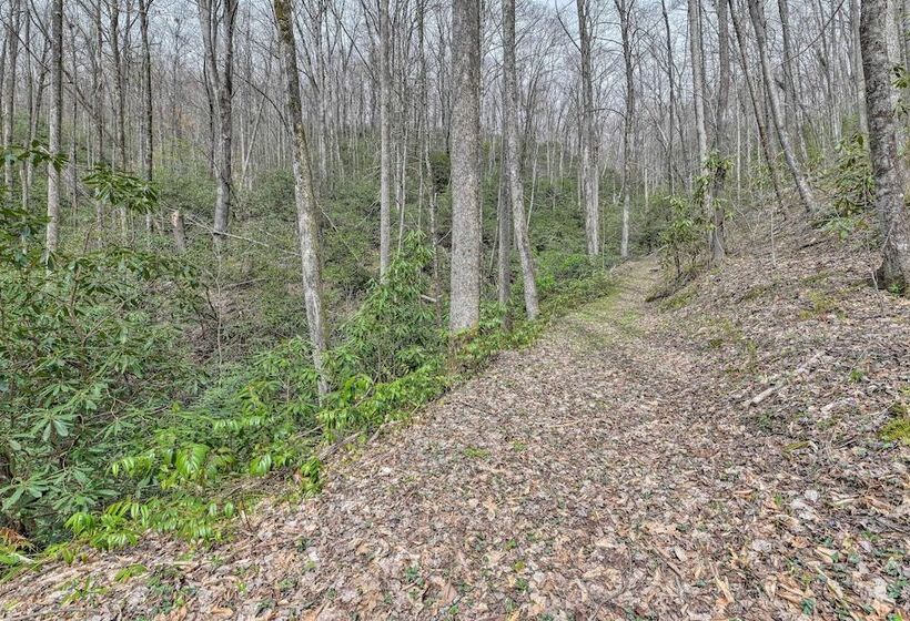 Cozy Blue Ridge Mountain Cabin On 18 Acre Lot