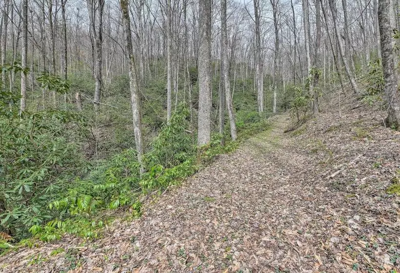 Cozy Blue Ridge Mountain Cabin On 18 Acre Lot