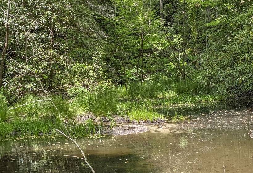 Cozy Blue Ridge Mountain Cabin On 18 Acre Lot