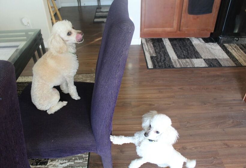 住宿加早餐 Ric S Place