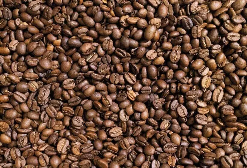 Greet Hotel Cernay Mulhouse