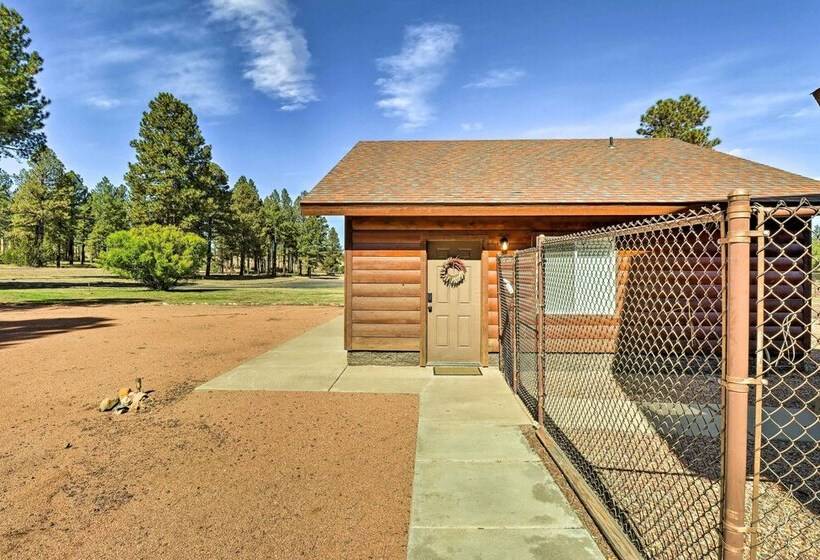 Pet Friendly Heber Escape In The Pines W/ Views!