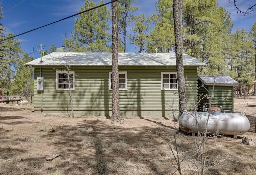 Pet Friendly Alpine Cabin W/ Gas Grill & Fireplace