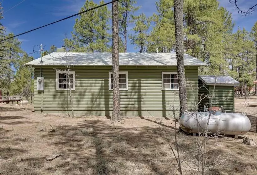 Pet Friendly Alpine Cabin W/ Gas Grill & Fireplace