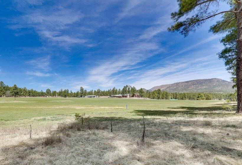 Pet Friendly Alpine Cabin W/ Gas Grill & Fireplace