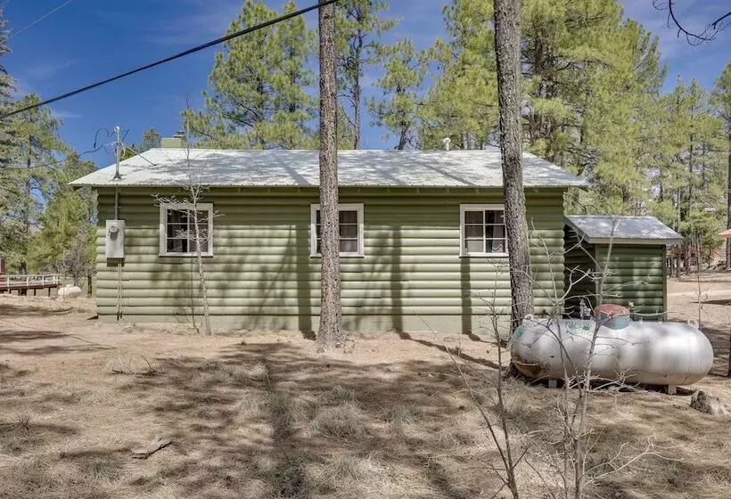 Pet Friendly Alpine Cabin W/ Gas Grill & Fireplace