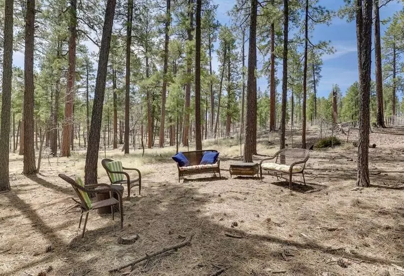 Pet Friendly Alpine Cabin W/ Gas Grill & Fireplace