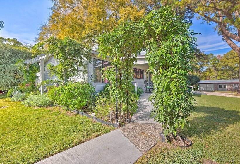 Stunning Willis Cottage On 12 Acres Of Land!