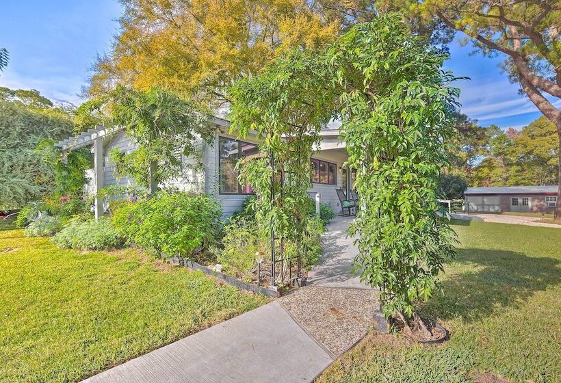 Stunning Willis Cottage On 12 Acres Of Land!