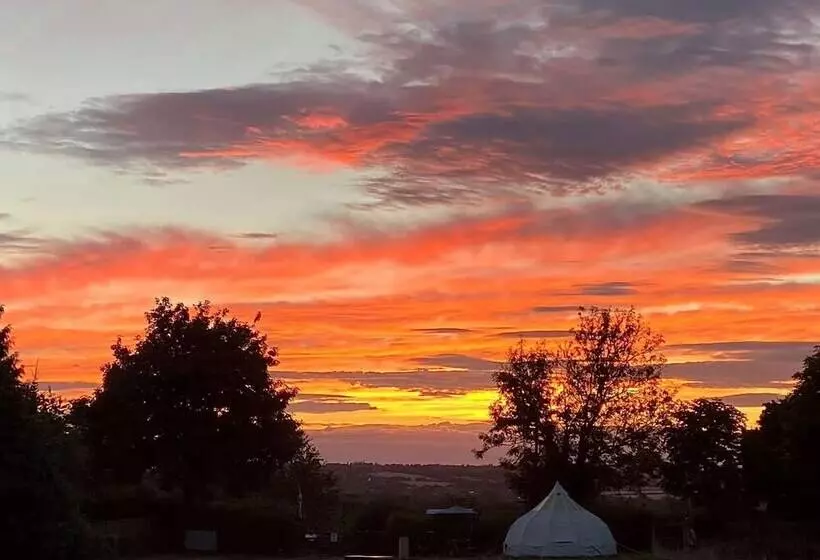 Woodlands Basic Bell Tent 3