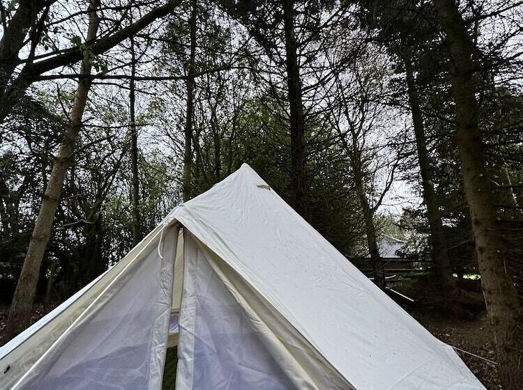 Woodlands Basic Bell Tent 3