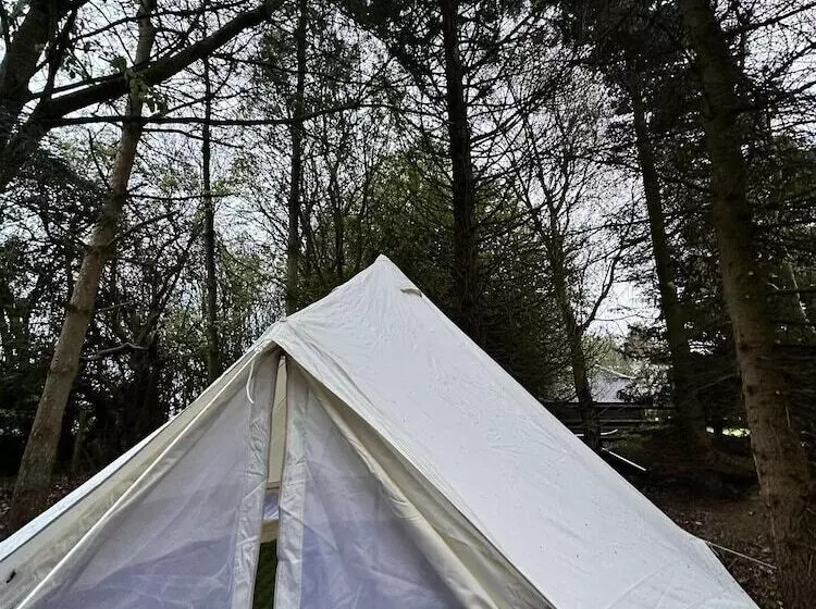 Woodlands Basic Bell Tent 3