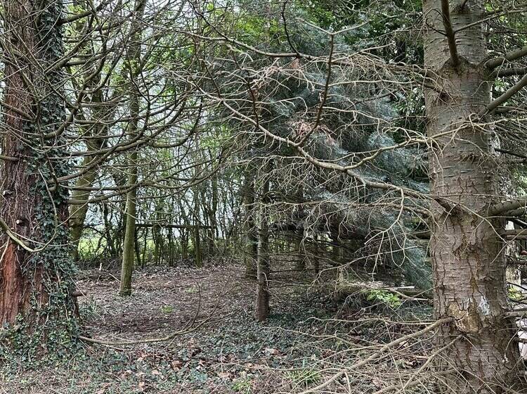 Woodlands Basic Bell Tent 3