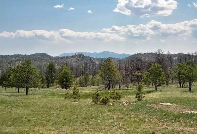 Idyllic Florissant Cabin W/ Patio & Hot Tub!