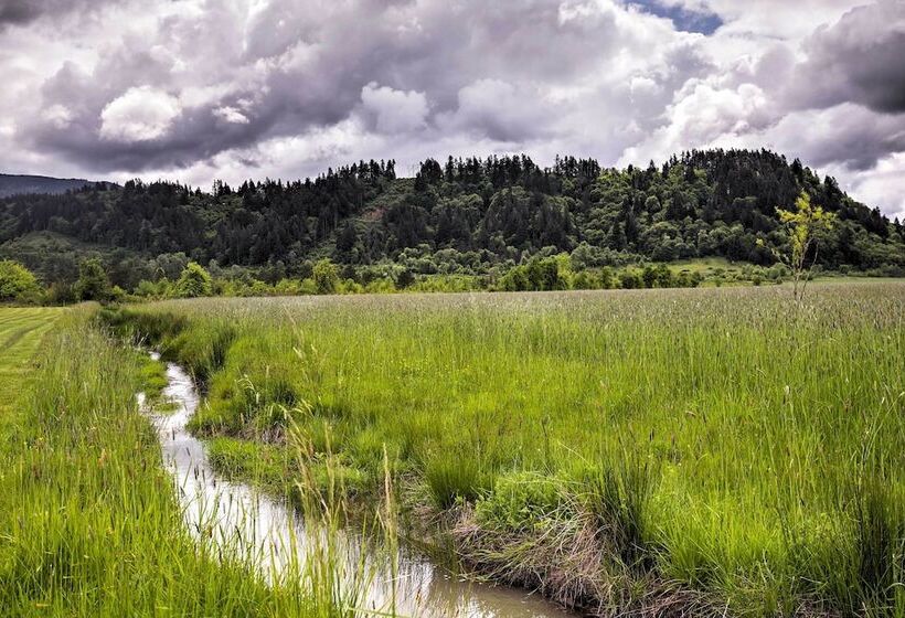 Rural Cottage 20 Min To Eugene W/ Mt Tom Views!