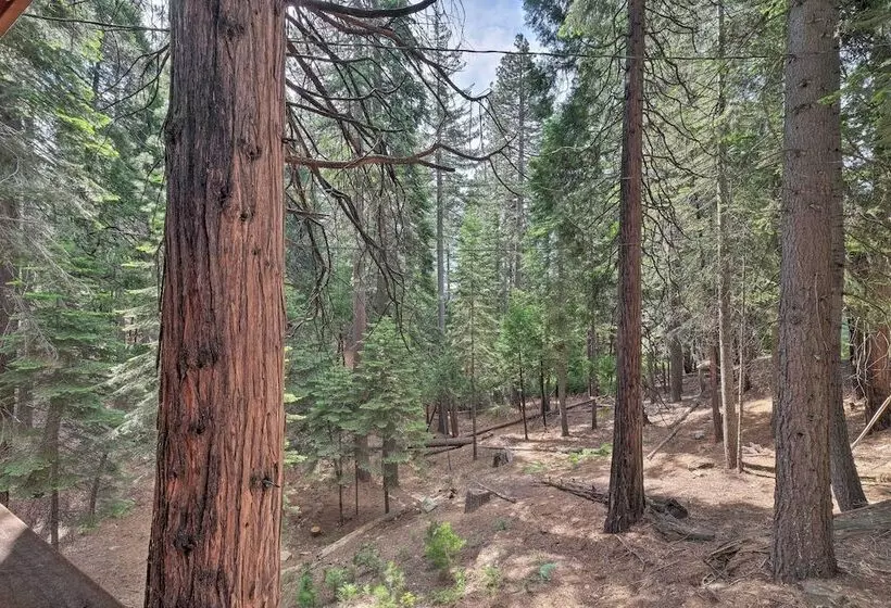 Walk To Big Trees State Park: Cabin W/ Deck!