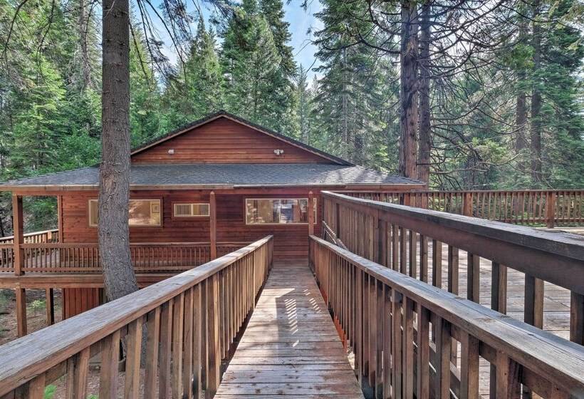 Walk To Big Trees State Park: Cabin W/ Deck!