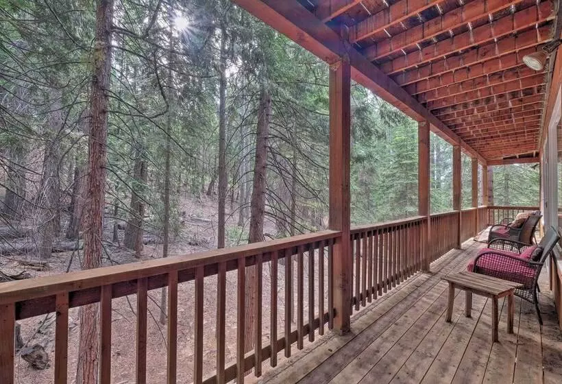Walk To Big Trees State Park: Cabin W/ Deck!