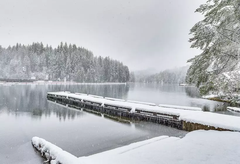 Awesome Hoodsport Cabin   Nearby Hiking Areas
