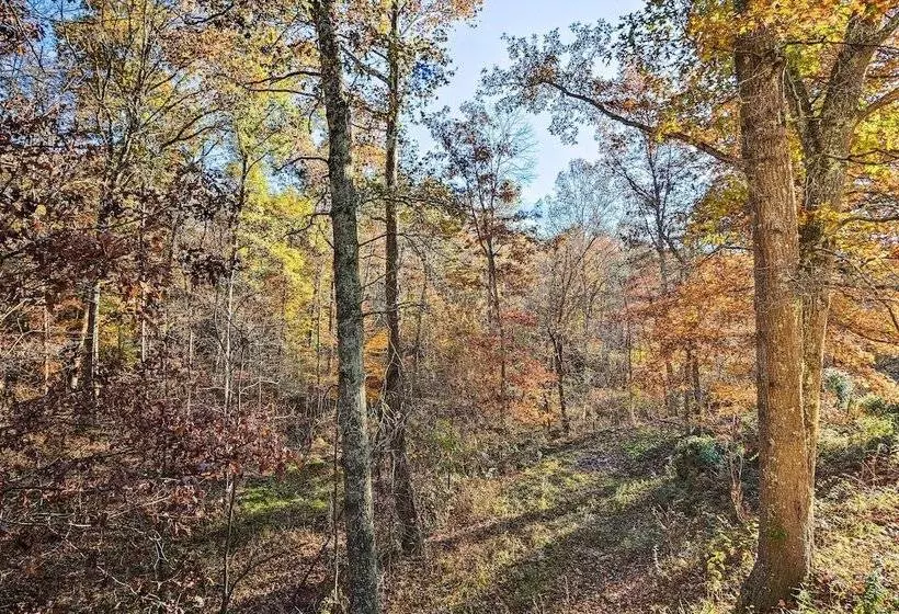 Luxe Dog Friendly Cabin W/ Hot Tub & Game Room