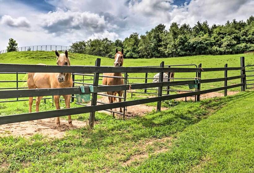 Mtn View Warne Cabin: Hot Tub, Wine Cabinet!