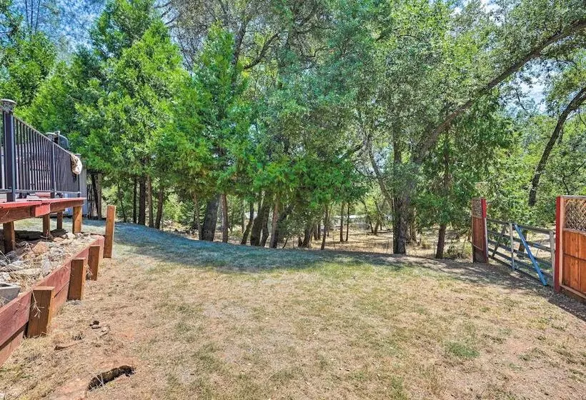 Fire Pit + Bbq: Wine Country Home In Placerville!