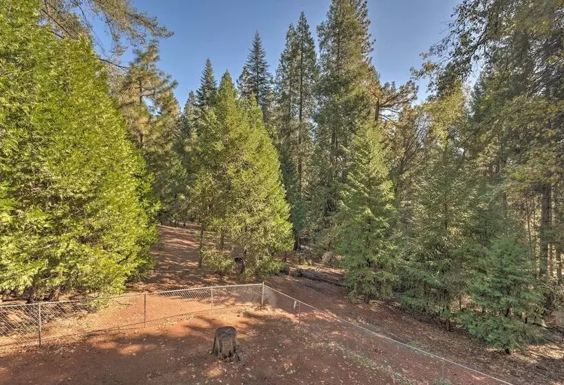 Near Hiking Trails: Cabin W/ Deck In Pioneer!