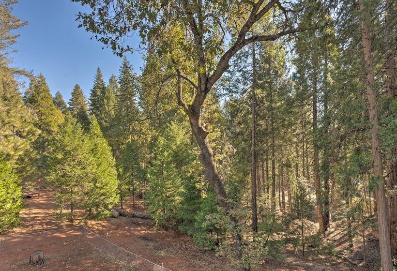 Near Hiking Trails: Cabin W/ Deck In Pioneer!