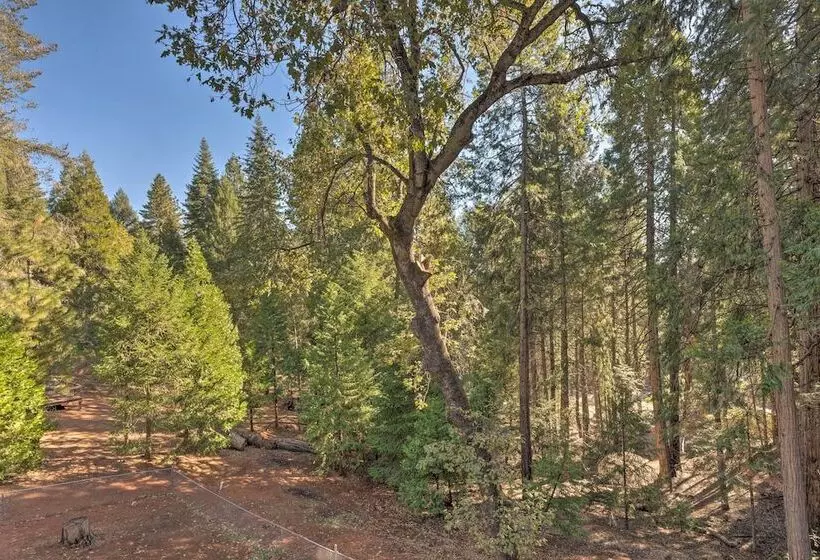 Near Hiking Trails: Cabin W/ Deck In Pioneer!