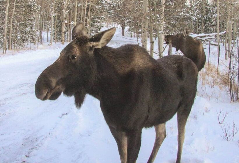 Airy Forest Escape W/ Mountain Views + Hot Tub!