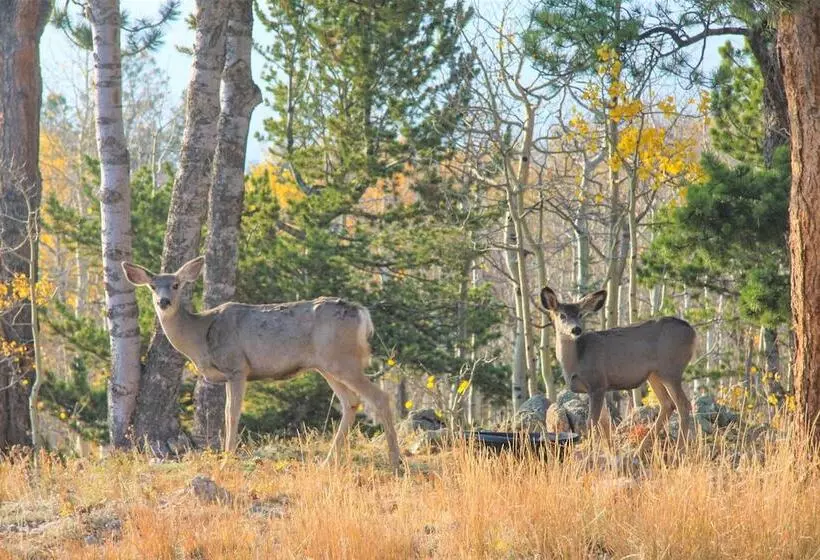 Airy Forest Escape W/ Mountain Views + Hot Tub!