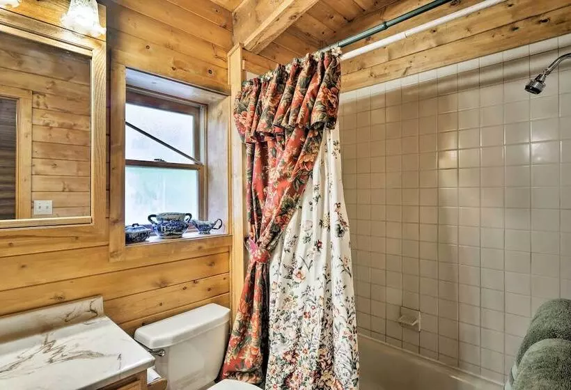 Bear View Lodge  In Alma: 15 Mi To Breckenridge!