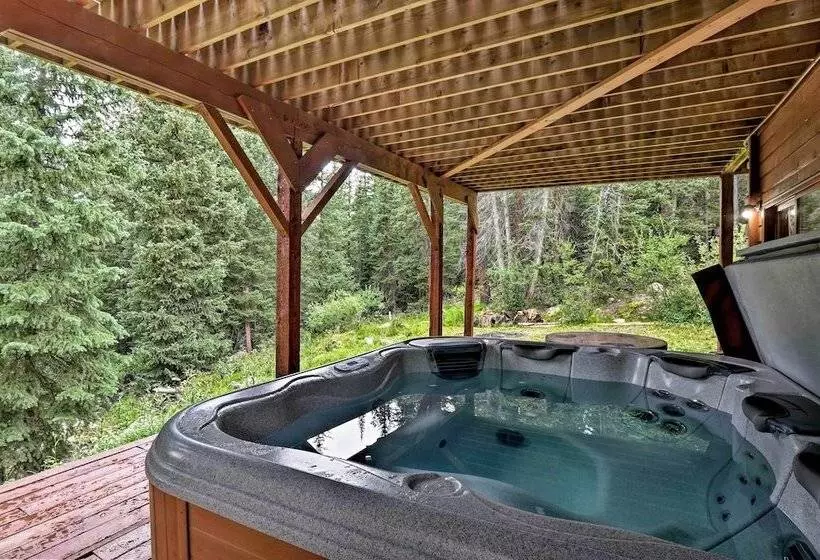 Bear View Lodge  In Alma: 15 Mi To Breckenridge!