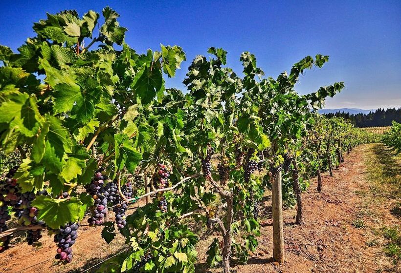 Luxury Home W/views   5 Min To Columbia River