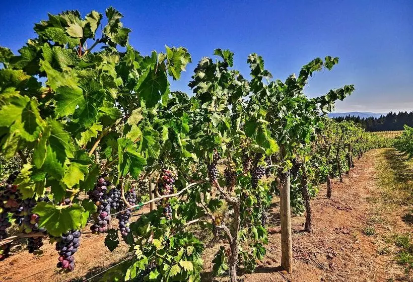 Luxury Home W/views   5 Min To Columbia River