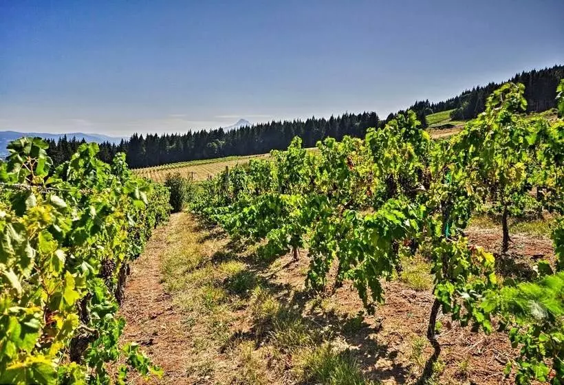 Luxury Home W/views   5 Min To Columbia River