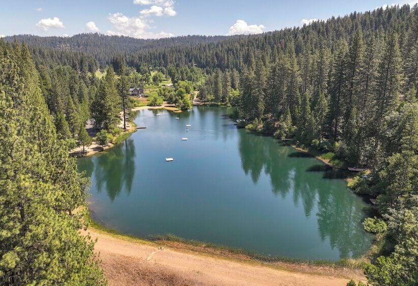 Deck & Views: Pet Friendly Starry Pines Cabin