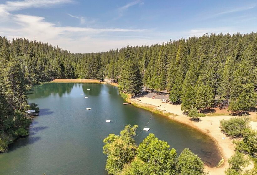 Deck & Views: Pet Friendly Starry Pines Cabin