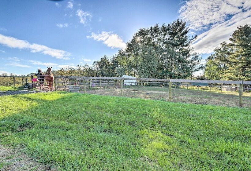 Pet Friendly Retreat On A Horse Breeding Farm!